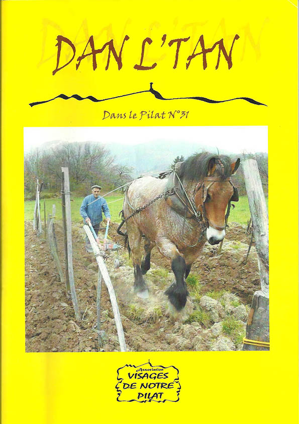 Dan l'tan n°31